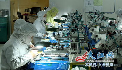 科技創新助跑江西光電升級 寒風中的梅花搖曳生姿